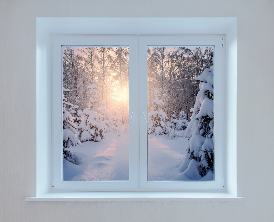 Blogs 8 early morning view of the winter forest from the window.
