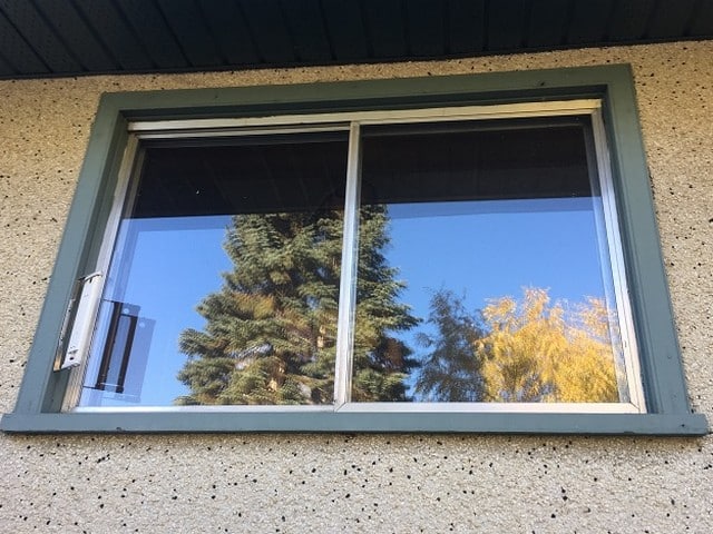 Window Image