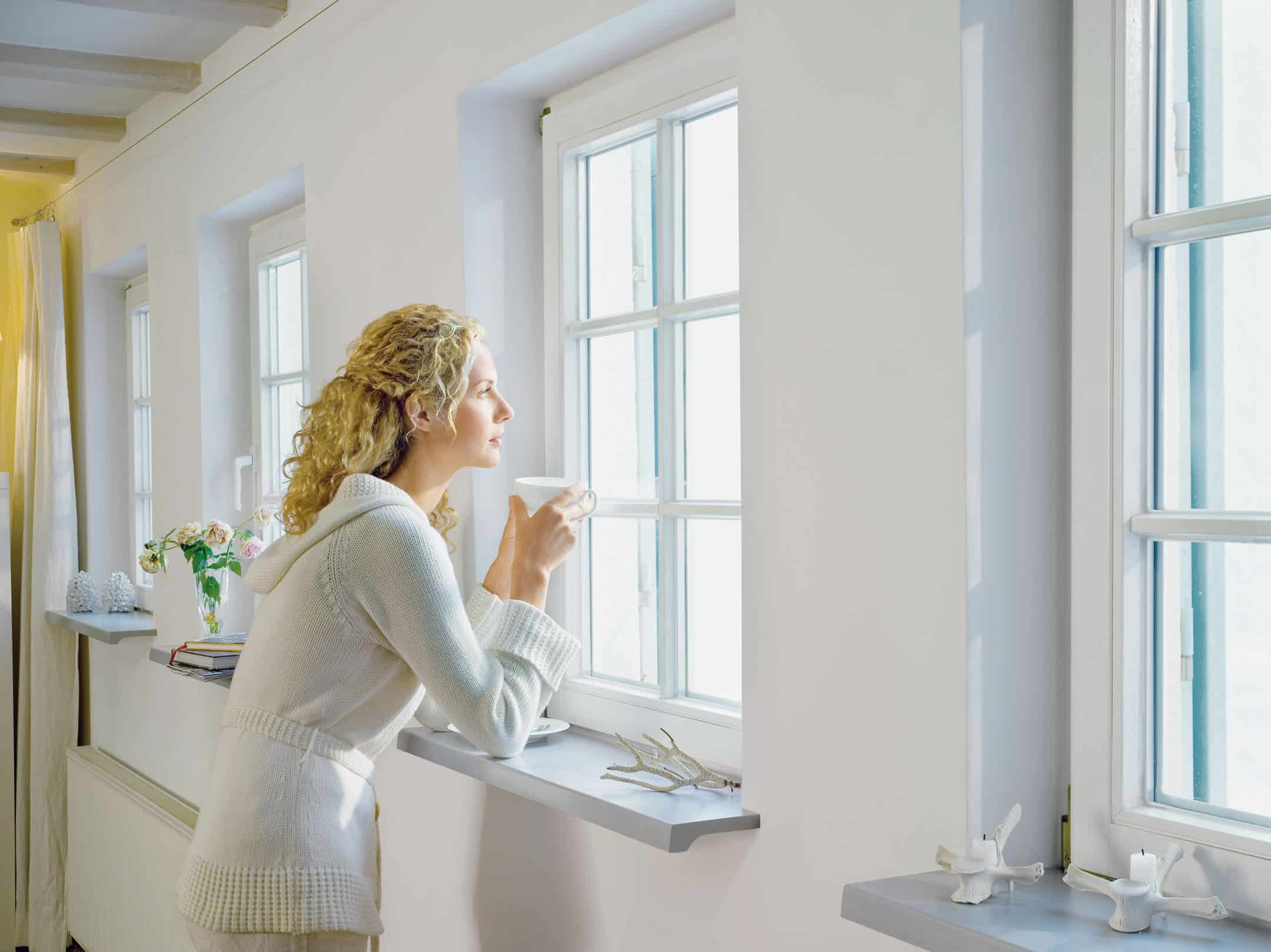 The Main 2 Factors That Determine the Price of Replacement Windows