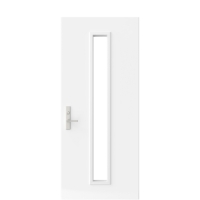 centered vertical door lite